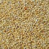 500gm Parrot / Munia / Bird Food