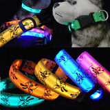 Night Luminous LED Collar