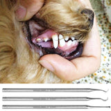 Single Head Dog Tooth Scaler