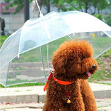 Transparent Rain Gear Umbrella For Dogs