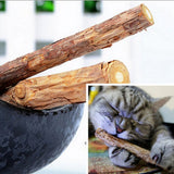 5 Pcs Cat Molar High Quality Toothpaste Stick