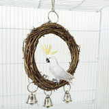 Chew Swing Cage Perch with Bell
