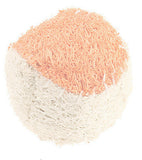 Green Loofah Teeth Cleaning Chew Toy