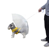 Snow waterproof windproof Umbrella For Small Dogs