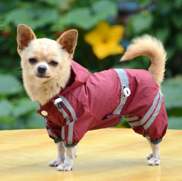 Glisten Bar Waterproof Rain Hoody