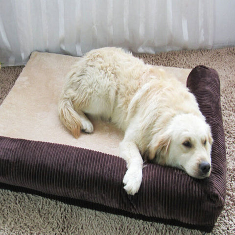 Detachable Deign Resistance To Bite Large Dog Mat