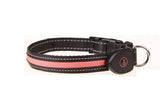Flashing Night USB Rechargeable LED Pets Collar