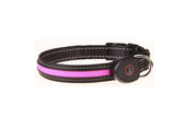 Flashing Night USB Rechargeable LED Pets Collar