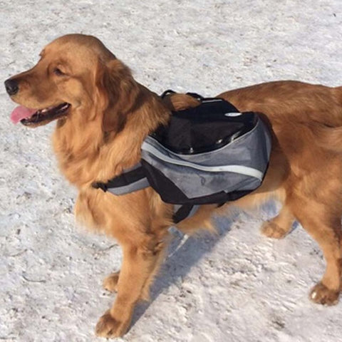 Hiking Training Pet Carrier Backpack