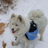 Hiking Training Pet Carrier Backpack