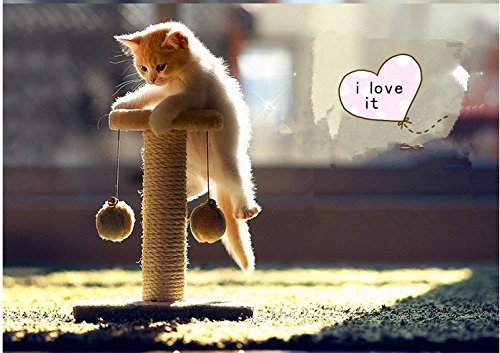Cat Furniture Scratching Post Jumping Toy