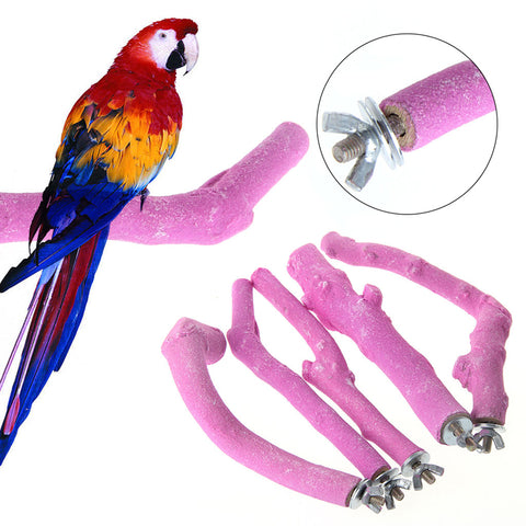 Paw Grinding Birds Perch