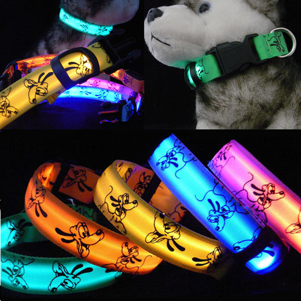 Night Luminous LED Collar