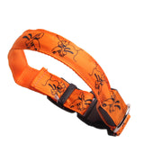 Night Luminous LED Collar