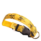 Night Luminous LED Collar