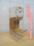Tidy Seed No-Mess Bird Feeder Canary