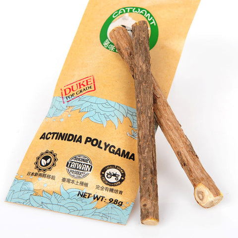 Catnip Chew Wooden Molar Toothpaste Stick