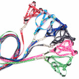 Pet Rope Collar & Lead Leash Harness Chest Strap