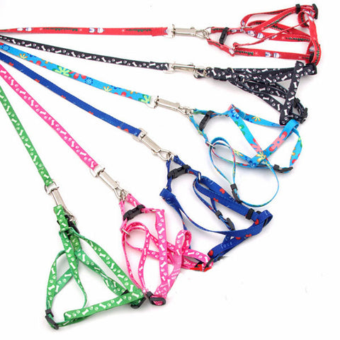 Pet Rope Collar & Lead Leash Harness Chest Strap