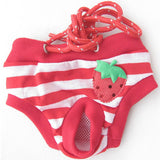 Female Pet Dog Diaper