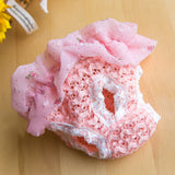 Female Pet Dog Diaper
