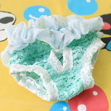 Female Pet Dog Diaper