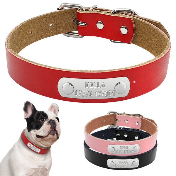 Leather Personalized Custom Tag Collar