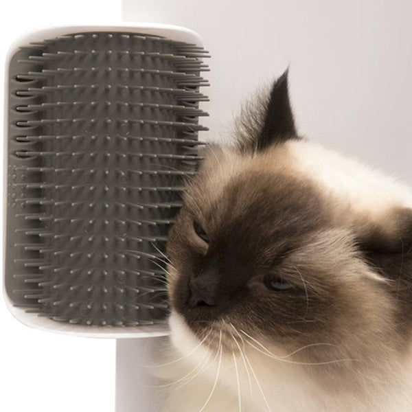 Cat Self-Grooming Massage Device