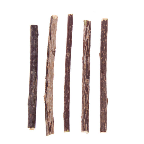 5 Pcs Pure Natural Catnip Dental Care Sticks