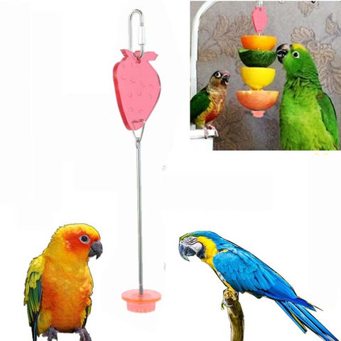 Stainless Steel Fruit Bar Toy