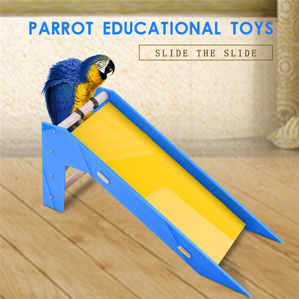 Parrot's Slide Training Educational Toy