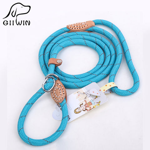 Pet Harness Leash Collar