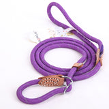 Pet Harness Leash Collar