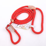 Pet Harness Leash Collar