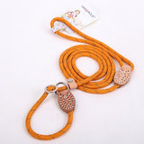 Pet Harness Leash Collar