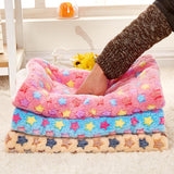 Coral Cashmere Soft Warm Pet Blanket