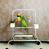 Stainless Steel Food Fruits Fork Feeder Treating Tool