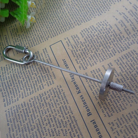Stainless Steel Food Fruits Fork Feeder Treating Tool