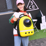 Colorful Travel Outdoor Shoulder Breathable Backpack