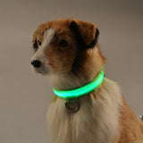 LED Chargeable Pets Collar
