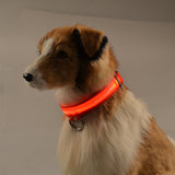 LED Chargeable Pets Collar