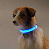 LED Chargeable Pets Collar