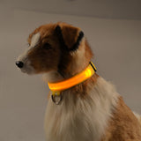 LED Chargeable Pets Collar