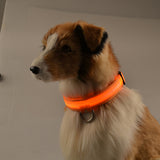 LED Chargeable Pets Collar