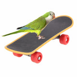 Pet Mini Skateboard Bird TrainingToy
