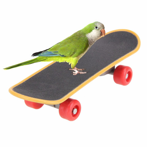Pet Mini Skateboard Bird TrainingToy