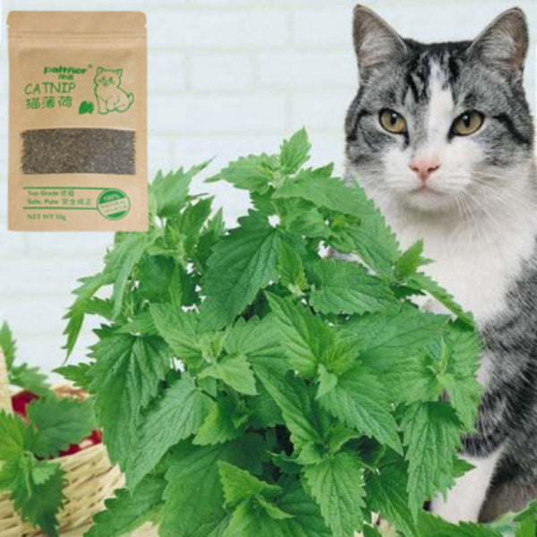 Natural Organic Premium Menthol Flavor Catnip Treats