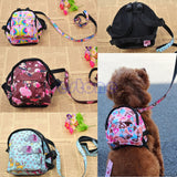 Outdoor Travel Carrier With Leash For Pets