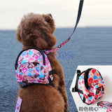 Outdoor Travel Carrier With Leash For Pets