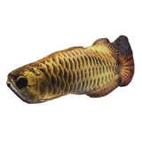 Fish Style Cat  Scratching Post